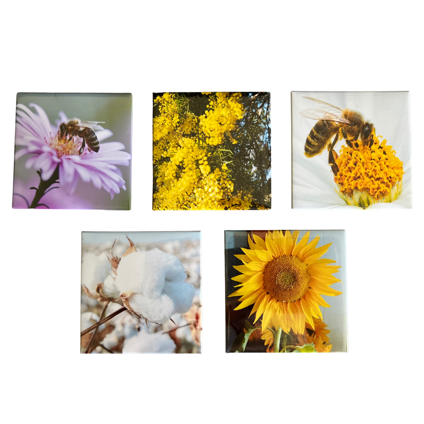 Button Magnet Square 6.35cm x 6.35cm