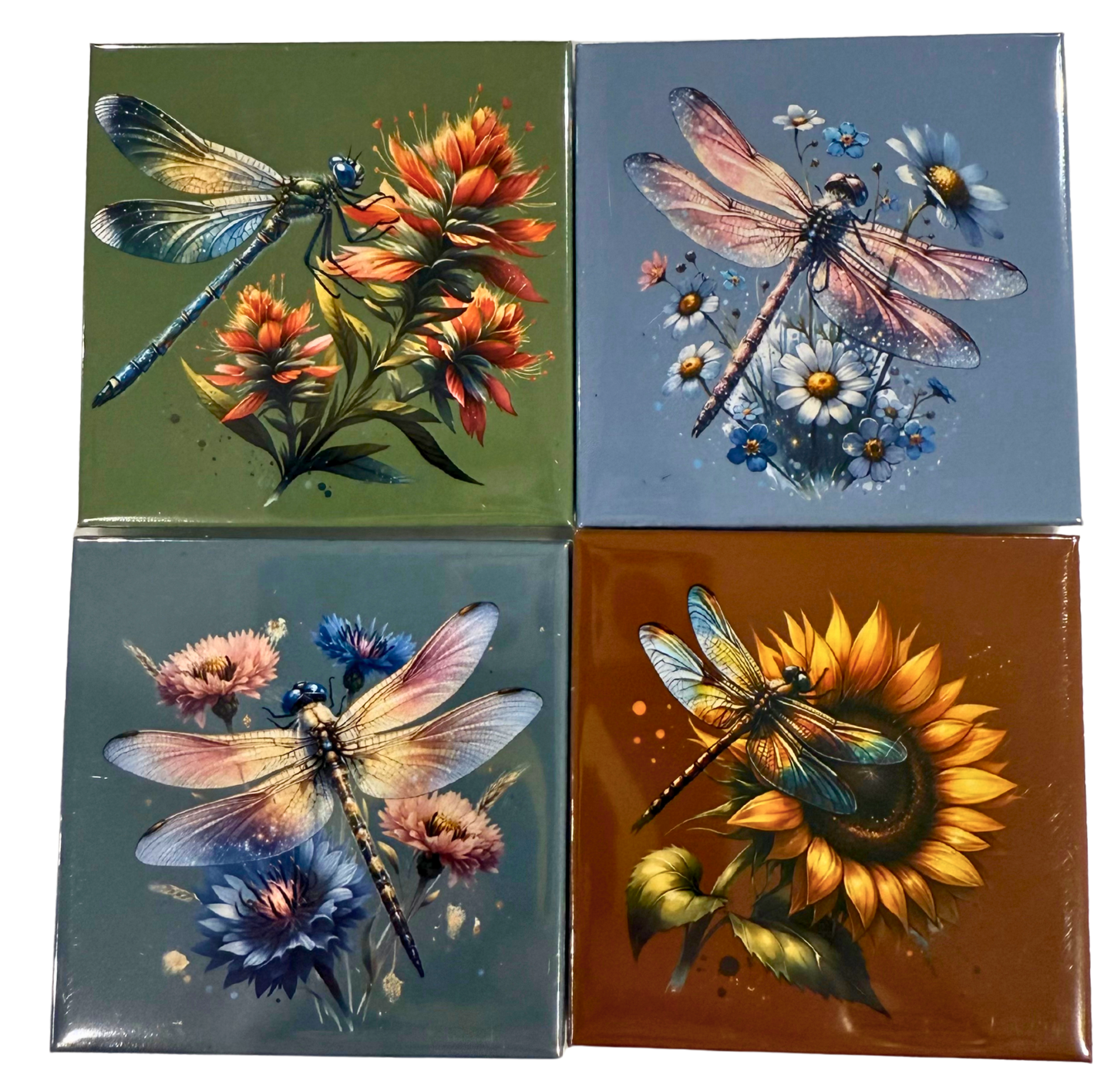 𩵠Dragonfly Magnet Collection