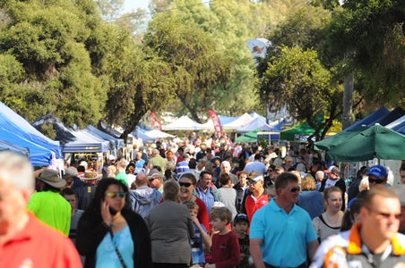 Moree Markets | 7th December 2025