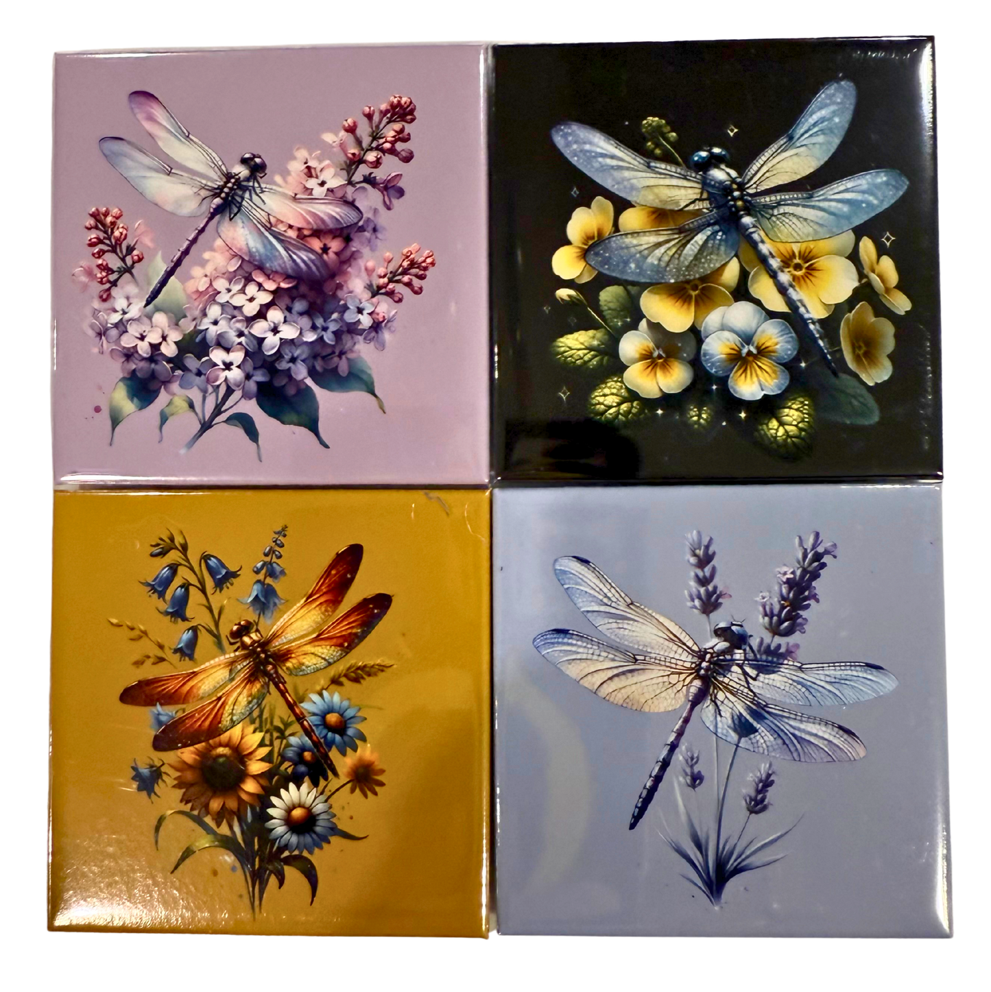 🩵 Dragonfly Magnet Collection