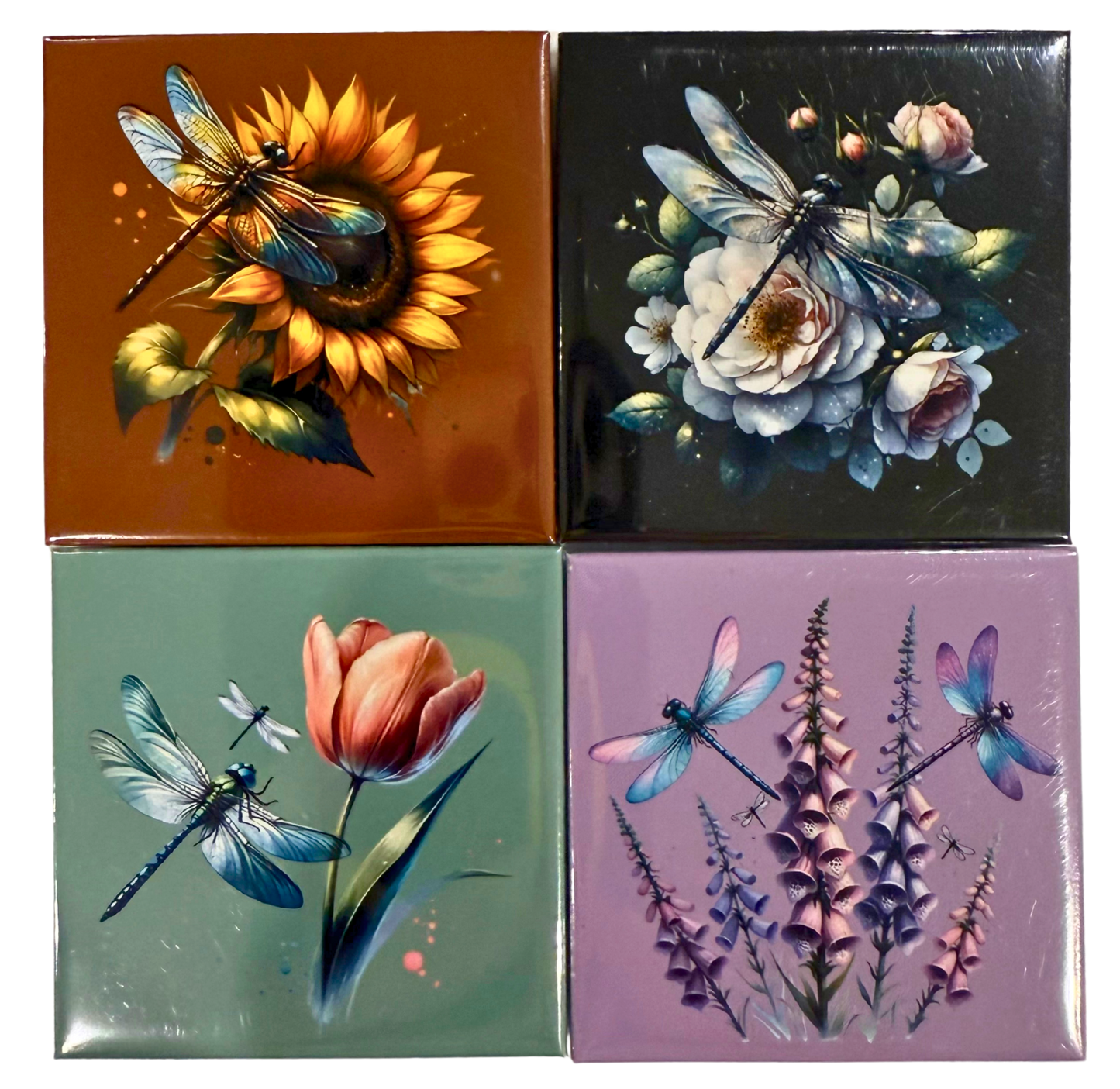 🩵 Dragonfly Magnet Collection