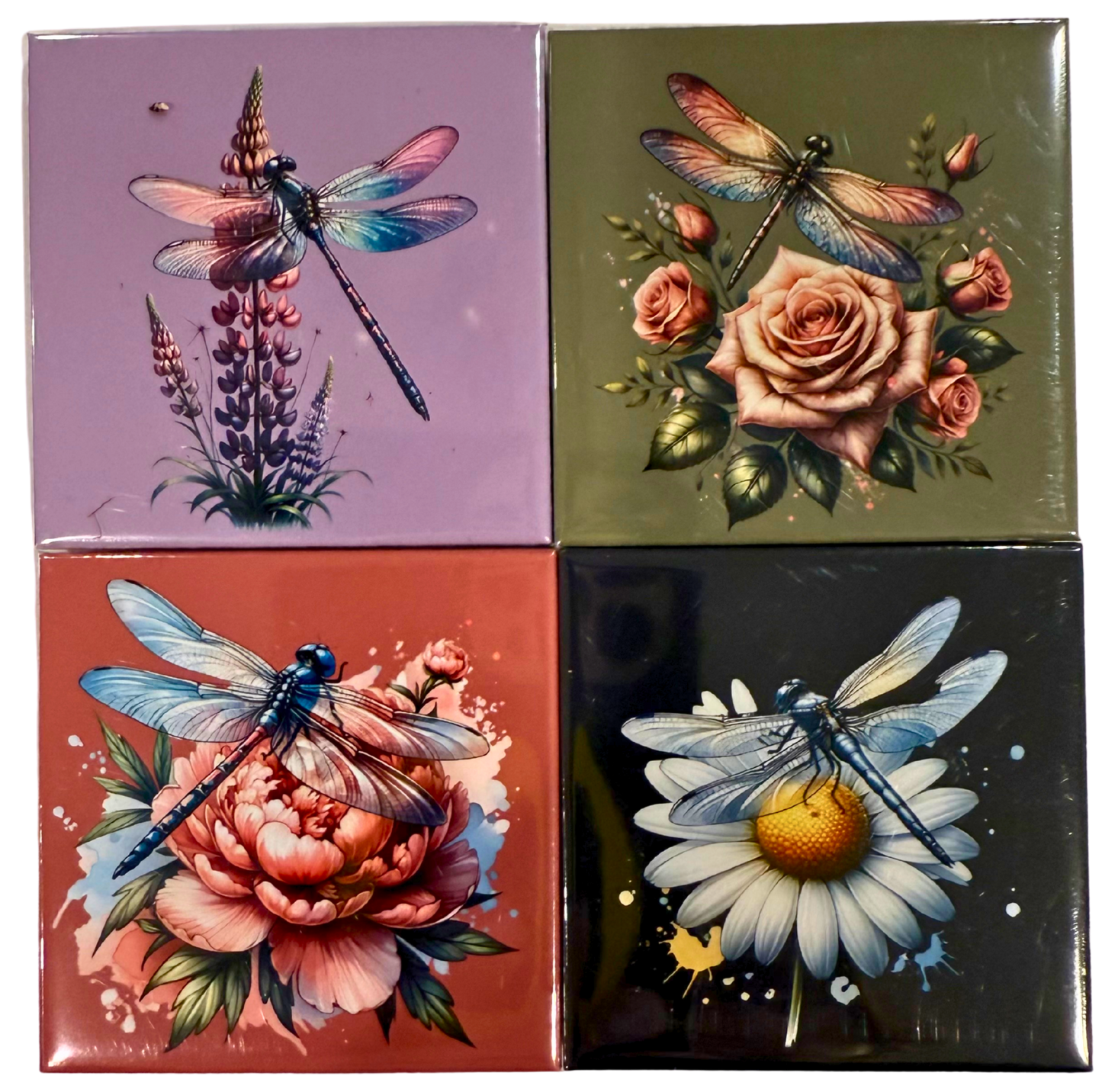 🩵 Dragonfly Magnet Collection