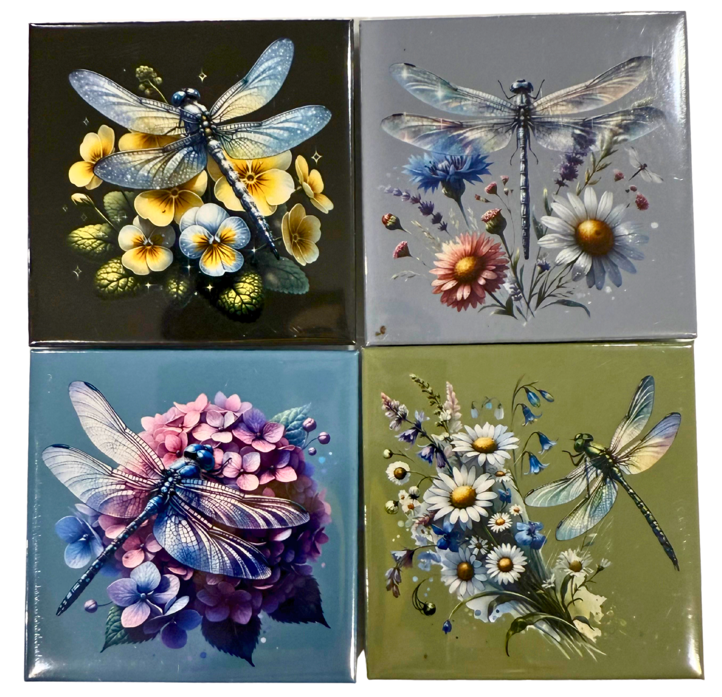 🩵 Dragonfly Magnet Collection