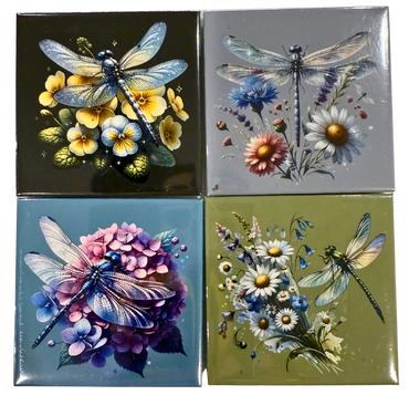 🩵 Dragonfly Magnet Collection
