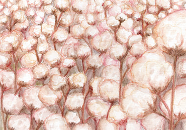 Water Colour A Day Series