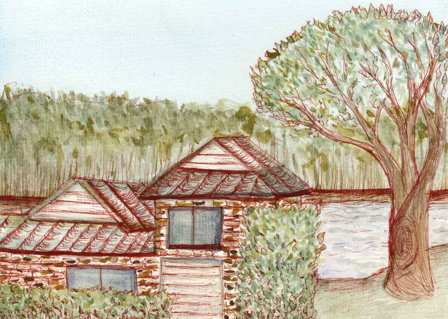 Water Colour A Day Series